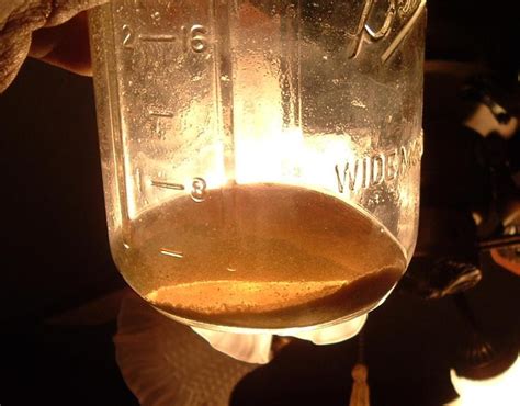 Powers or problems or disturbances at a great. Mescaline Extraction Tek - Mescaline Cacti & Succulents ...