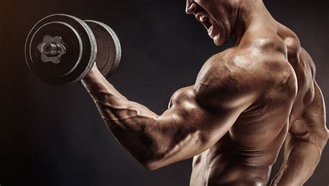 Hypertrophy Specific Training Explore The Benefits Of This Training