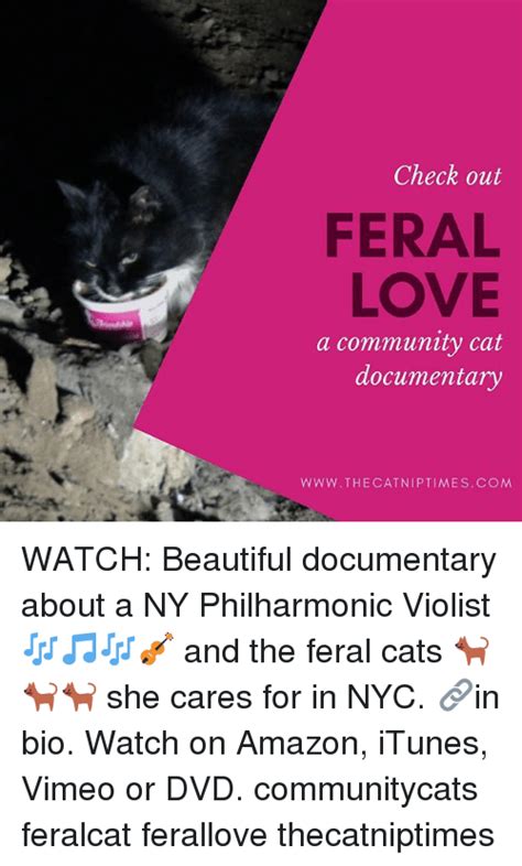 Check Out Feral Love A Community Cat Documentary The Catniptimescom
