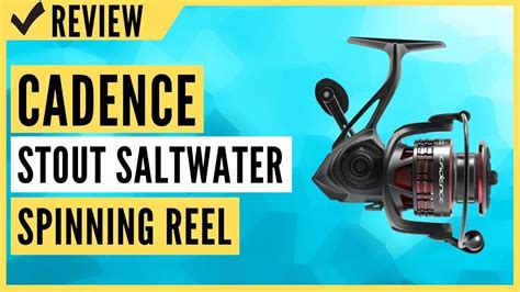 Cadence Stout Saltwater Spinning Reel Stout 3000 Review YouTube