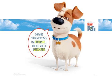 PetSmart brings The Secret Life of Pets to stores » strategy