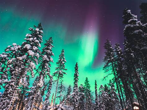 Lapland Snow Village Tour With Northern Lights Of Finland Sightseeing