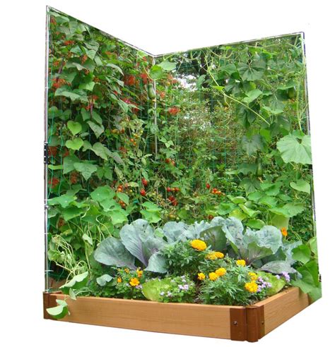 23 Vegetable Garden Wall Ideas To Consider Sharonsable