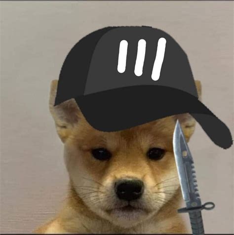Profile Photo Shiba Doge Memes Riding Helmets Puppies Wallpaper