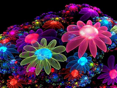 Cool Colorful Flowers Desktop Hd Wallpaper Hd Wallpaper Cool