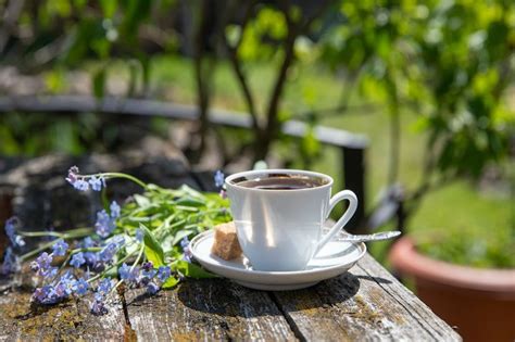 Kaffeesatz Im Garten Verwenden Kaffee Macht Müde Pflanzen Munter