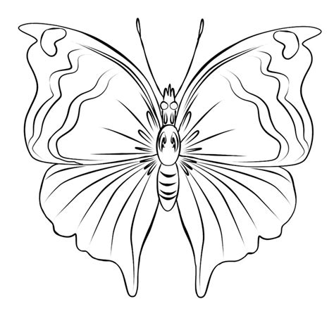 Gambar sketsa hewan kupu kupu. Download Mewarnai Gambar Kupu-kupu | Alamendah's Blog