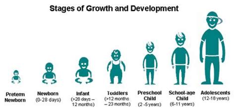 Stages Of Development Each Stage Is A Unique Opportunity For Parents