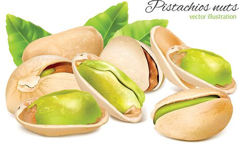 royalty free pistachio clip art vector images and illustrations istock