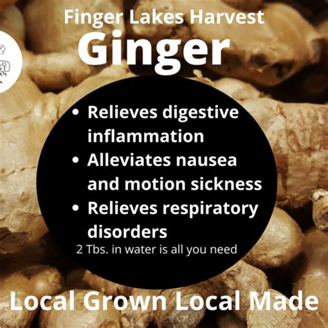 Ginger Tonic Finger Lakes Harvest