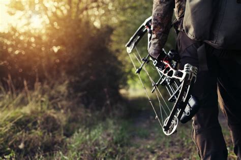 Best Places To Bow Hunt Complete Guide Specialty Archery