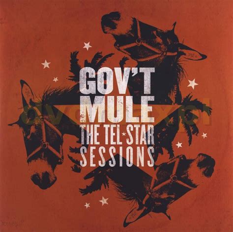 Płyta Winylowa Govt Mule The Tel Star Sessions 2xwinyl Ceny I