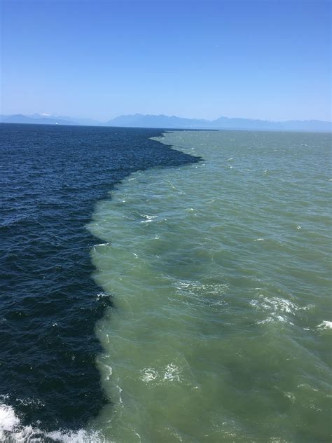 Where The Strait Of Georgia And The Fraser River Collide August 2019
