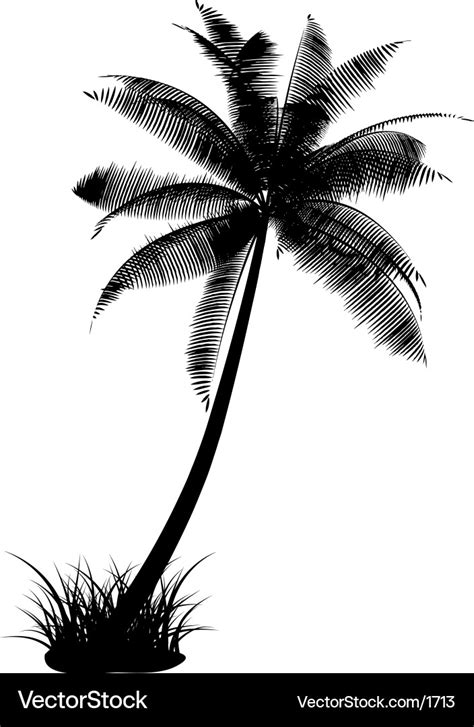 Palm Tree Design Royalty Free Vector Image Vectorstock