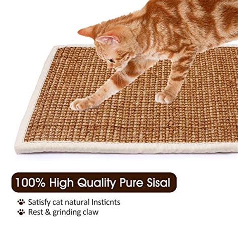 Sometimes they will lay on their side and rub it against the cardboard scratcher. Treasborn Durable Cat Scratcher Thick Sisal Scratching Pad ...