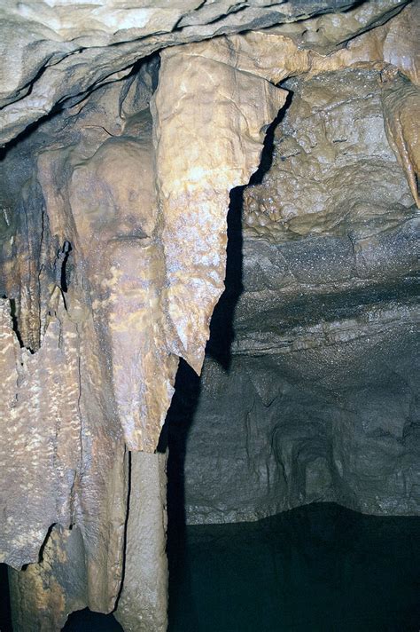 Bluespring Caverns Bloomington Indiana Tourism Ecotour Nature