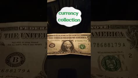 Currency Collection YouTube