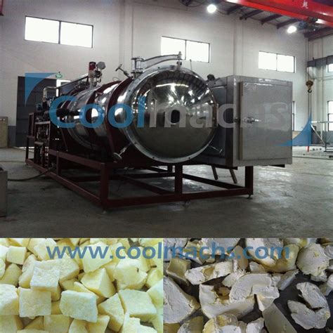 Vacuum Freezing Drying Machinedurian Vacuum Freeze Dryer China