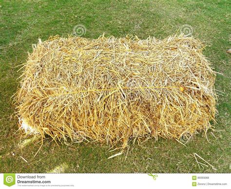 Stack Of Dry Straw Or Hay Stock Photo Image Of Color 89393068