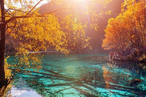 Amazing View Of The Five Flower Lake Multicolored Lake Stock Photo