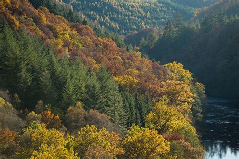 Belgische ardennen tijdens het abseilen. Ontdek de mooiste plekjes van de Ardennen