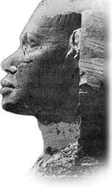 mystery of the sphinx an ancient message of ethnic diversity in dynastic egypt sphinx egypt