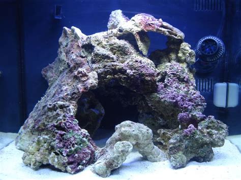 Live plants that are nurtured and pruned into specific shapes or designs. different types of live rock aquascape - Google Search ...
