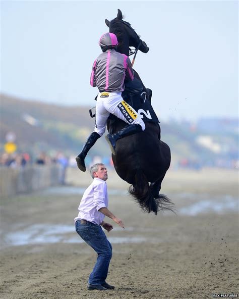 Horse Rears Up At Laytown Races In Ireland