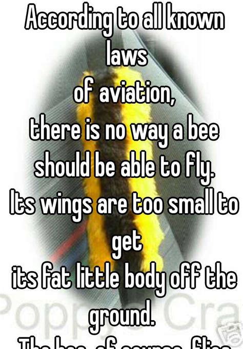 According To All Known Laws Of Aviation There Is No Way A Bee Should