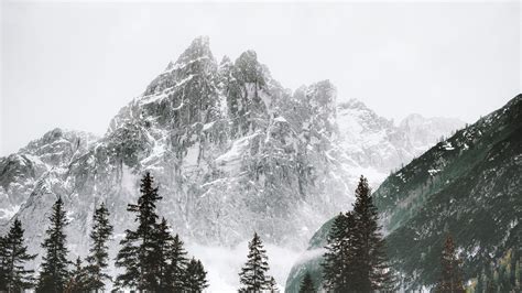 Download Wallpaper 2048x1152 Mountain Peak Trees Snow Landscape