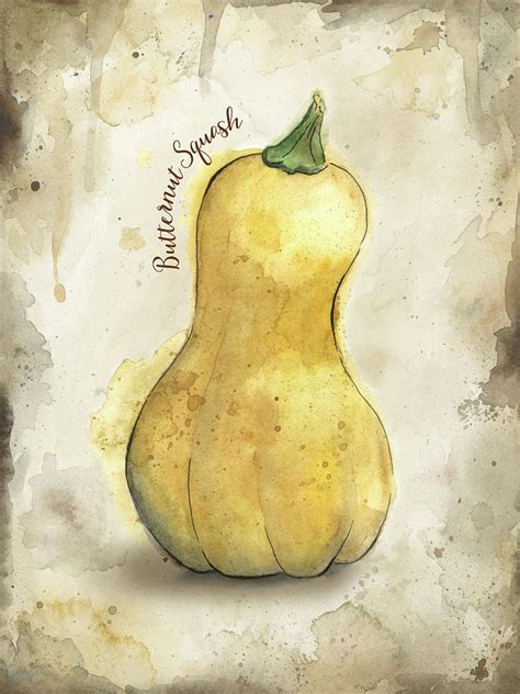 Butternut Squash Watercolor Painting On Rustic Brown Background