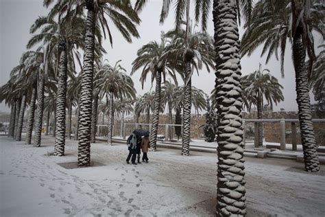 Snow Blankets Cairo For First Time In More Than 100 Years Paralyzes