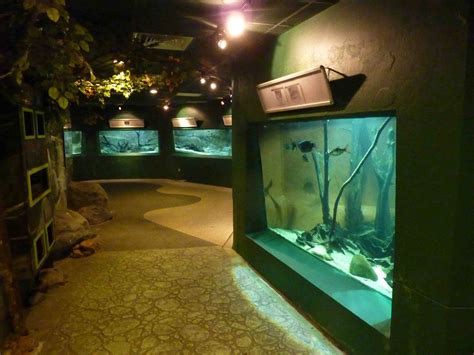 Inside The Aquarium May 2013 Zoochat