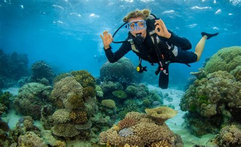 Great Barrier Reef Great Barrier Reef Liveaboards