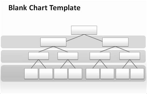 Blank Hierarchy Chart Template