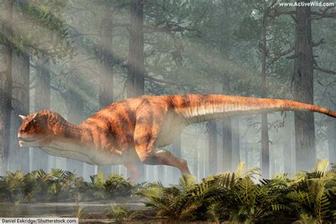 Cool Dinosaurs List With Pictures And Interesting Facts