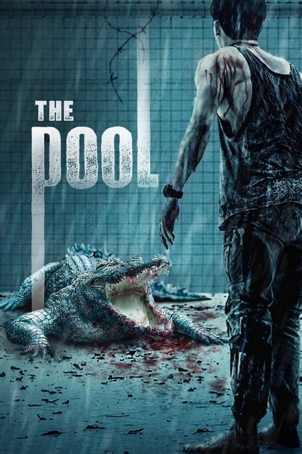 The Pool 2018 — The Movie Database Tmdb