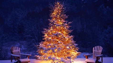 4k Christmas Tree Wallpapers High Quality Download Free