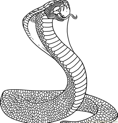 Snake coloring pages to print apartamentosbogota co. Snake Coloring Page - Free Snake Coloring Pages ...