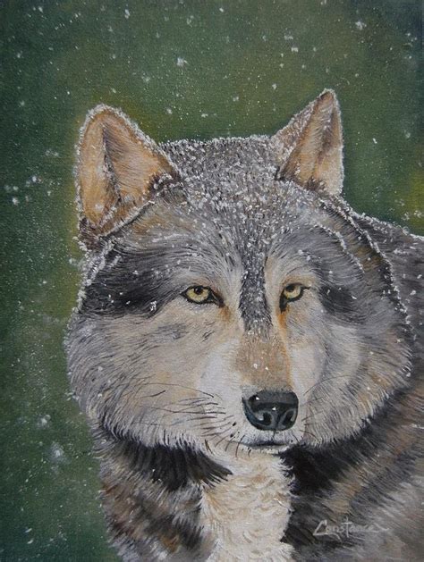 Grey Wolf Painting By Connie Rowsell Fine Art America