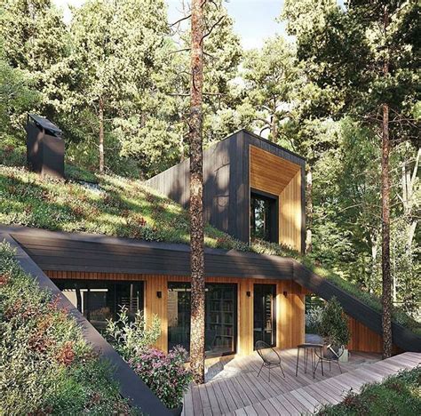 Guide To Tiny House Living Green Roof Design Underground Homes