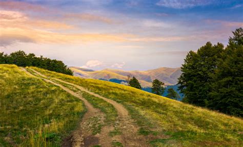 Uphill Path Stock Photos Pictures And Royalty Free Images Istock