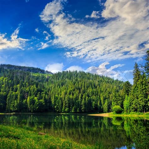 View On Lake Near The Pine Forest On Stock Image Colourbox