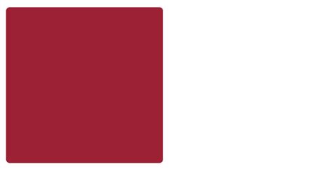 Arkansas Razorbacks Color Codes Hex Rgb And Cmyk Team Color Codes