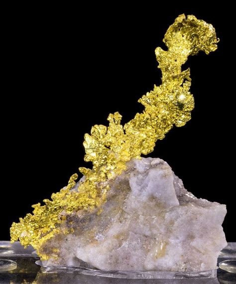 Native Gold On Quartz Mineral Specimen From Eagles Nest Placer Co