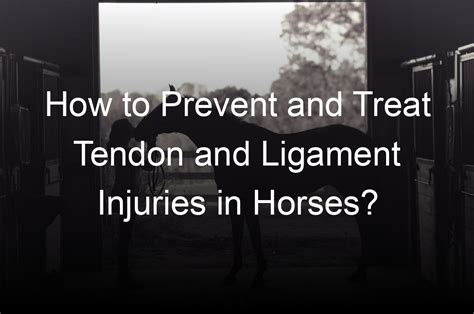 How To Prevent And Treat Tendon And Ligament Injuries In Horses