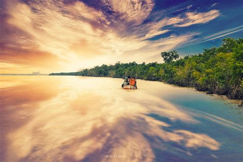 Sundarban Delta And Their Top Interesting Facts Sundarban Jungle