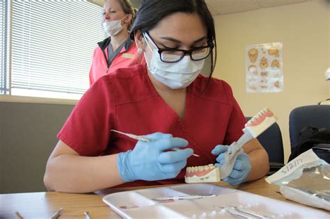 Becoming A Dental Assistant On The Job Training Or Career Training