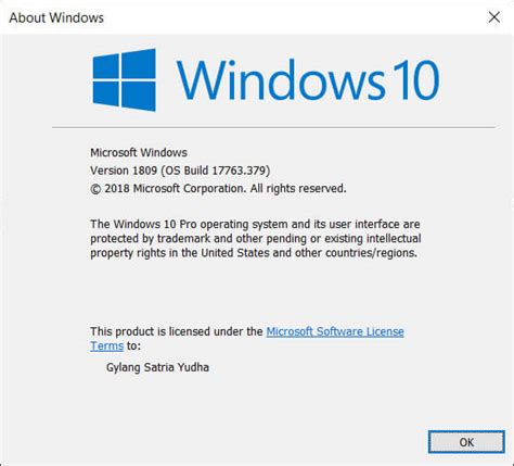 Microsoft Konfirmasi Bug Baru Di Update Kumulatif Windows 10 1903