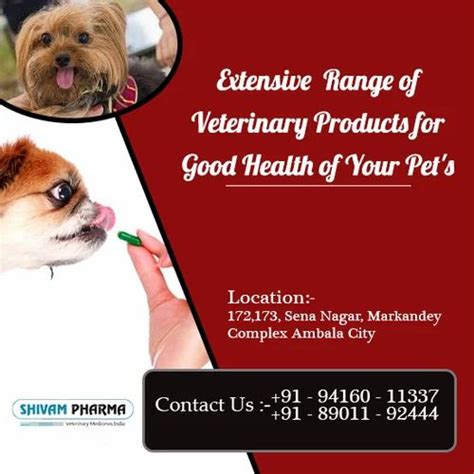 Albendazole Ip 3000mg Alben Bolus Vet For Clinical Packaging Type